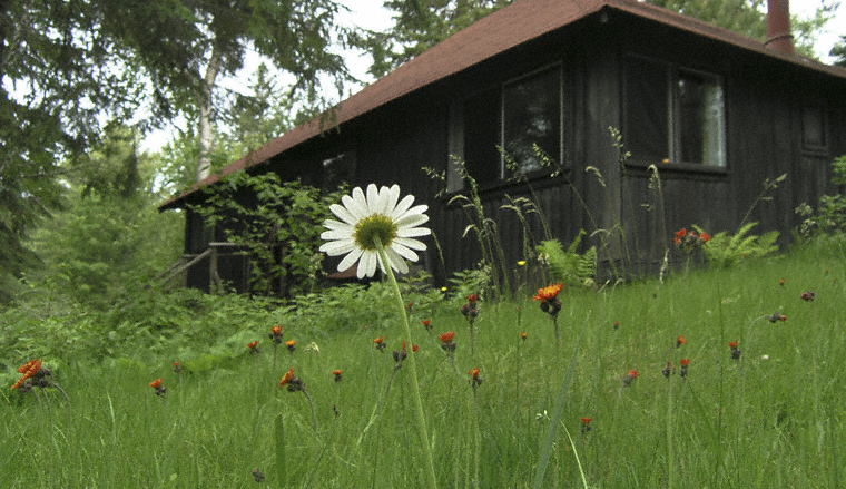 Algonquin cabin@Arowhon Pines