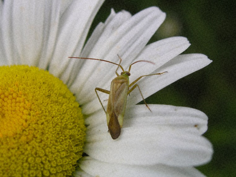 visitors on the farm