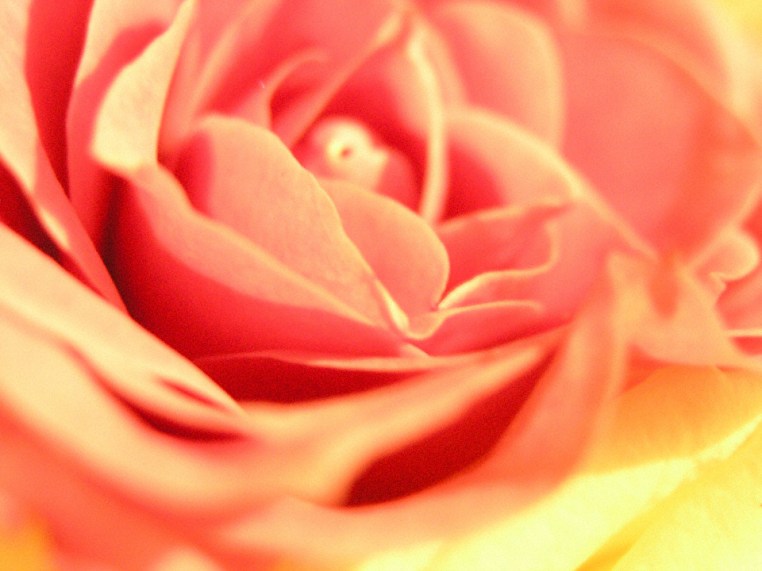 blessing Joanne and Erik