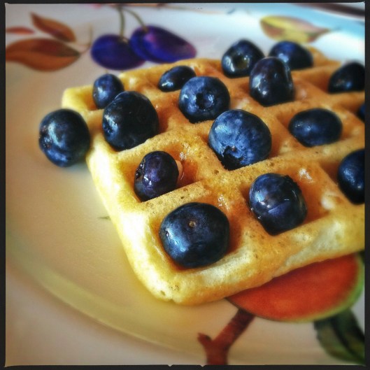 blackout blueberry bingo