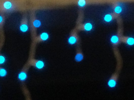 blue light pussy willows